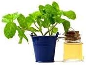 Natural Silver Mint Mouthwash