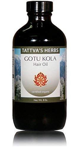 Tattva's Herbs Gotu Kola &amp Brahmi Hair Oil 8oz ? Ayurvedic Scalp Treatment for Hair Growth