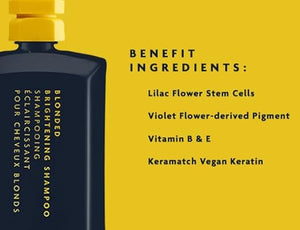 R+Co BLEU Blonded Brightening Shampoo ? Neutralizes Yellow Tones Deposits Pigments Evenly Moisturizes Repairs Color-Treated Hair Antioxidant-Rich Formula 8.5 oz