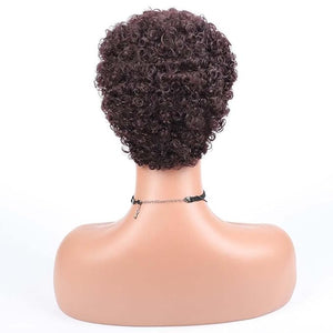 short curly afro wig Women's African fake curly hair Women's fake curly hair Curly Wigs for Black Women Fashion Short Afro Curly Wig