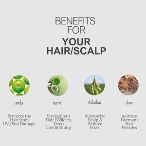 K C Scalp Detox &amp; Hair Treatment Mask - Deep Conditioner for Dry Scalp &amp; Damaged Hair ? Scalp Care for Buildup, Flakes &amp; Oil Control ? All Hair/Scalp Types ? Spa Grade Formula (FRESH)