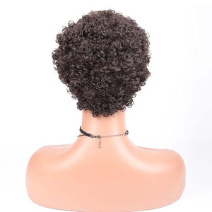 short curly afro wig Women's African fake curly hair Women's fake curly hair Curly Wigs for Black Women Fashion Short Afro Curly Wig