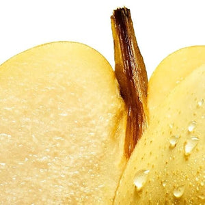 Davidoff Cool Water Sea Rose