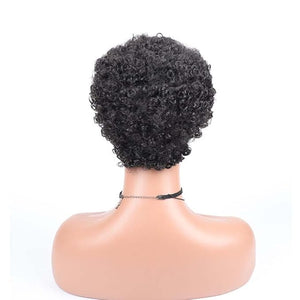 short curly afro wig Women's African fake curly hair Women's fake curly hair Curly Wigs for Black Women Fashion Short Afro Curly Wig