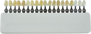 NAGY Teeth Shade Guide PMMA Dental Toothguide with 19 Colors