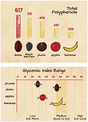 Papa Steve's No Junk Raw Vegan Protein Bars: Non GMO Gluten Free 100% Natural Hand-Made Weekly - Mint Chocolate Chunk (Pack of 10)