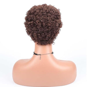 short curly afro wig Women's African fake curly hair Women's fake curly hair Curly Wigs for Black Women Fashion Short Afro Curly Wig