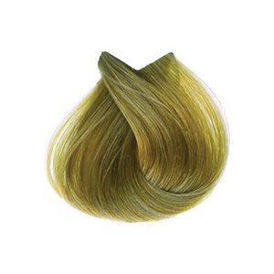 Tahe Lumiere Express Permanent Hair Color Cream 100ml (9.3 Very Light Golden Blonde 100ml)