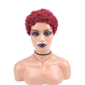short curly afro wig Women's African fake curly hair Women's fake curly hair Curly Wigs for Black Women Fashion Short Afro Curly Wig