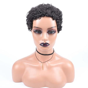 short curly afro wig Women's African fake curly hair Women's fake curly hair Curly Wigs for Black Women Fashion Short Afro Curly Wig
