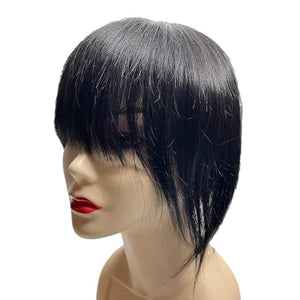 Anemone Thick Full Human Hair Topper For Women 14x14 cm Clip In Hairpieces With Doll Bangs Hair O Part Invisible Scalp Straight Wiglets for Mild Hair Loss (Black 10 inch)