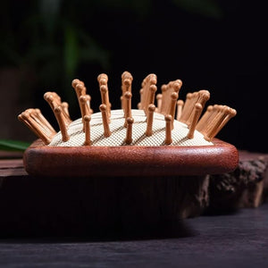 NALoRa Hair Brushes for Women Mens Massage Hairbrush Scalp Massagers Air Cushion Hair Combs Wood Hair Combs