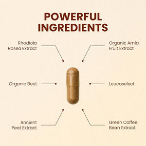 CHOQ Action 2.0 Energy &amp Circulation Support - Rhodiola Rosea Beetroot &amp B12 Supplement - Nitric Oxide Booster for Men &amp Women - Focus &amp Recovery - 90 Capsules