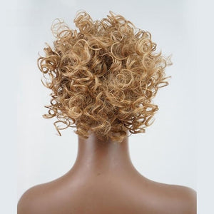FRANCES Fake Hair Bun Ladies Fashion Wig Fluffy Curly Hair Bun Short Curly Hair Comb Ball Head Ponytail Hair Extension Synthetic Hair Bun Hair Accessories (Color : 04)