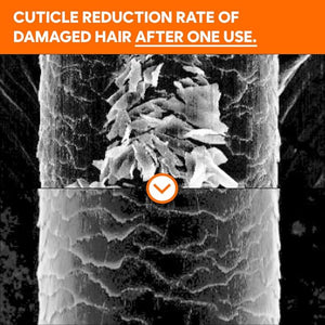 Kelp Treatment for Dry and scalp and hair Strengthening and Hydrating Laminaria Japonica Extract Korean Hair Care Product 16.9 fl.oz.(500ml) White