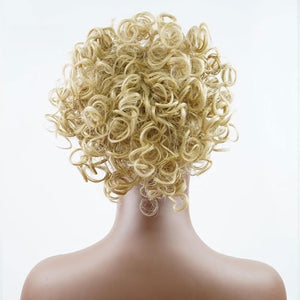 FRANCES Fake Hair Bun Ladies Fashion Wig Fluffy Curly Hair Bun Short Curly Hair Comb Ball Head Ponytail Hair Extension Synthetic Hair Bun Hair Accessories (Color : 06)