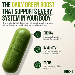 Burst 100% Organic Moringa Capsules ? Supports Energy Immunity &amp Vitality | Pure Moringa Oleifera Supplement | Rich in Vitamins Protein &amp Antioxidants | Vegan Non-GMO - 120 Capsules