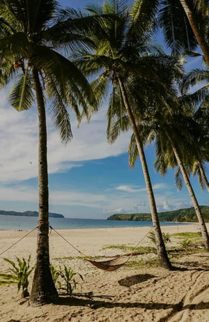 Sand &amp Fog PREMIUM (Glass Bottle) Liquid Hand Soap/Scent: Tahitian Vanilla (Cleans and Nourishes Skin made with Aloe) 15.7oz PUMP