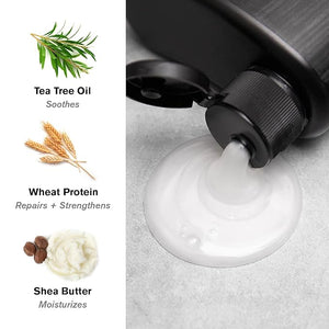 Every Man Jack Men's 2-in-1 Daily Shampoo + Conditioner Variety Pack - Includes 3 Outdoor Inspired Scents Scents - Amber + Sandalwood Cedar + Red Sage Sea Minerals + Citron 13.5 oz (3 Pack)