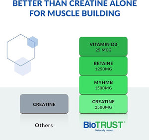 BioTrust Ageless Muscle Builder - Creatine HMB Powder with Vitamin D3 &amp; Betaine - Build &amp; Preserve Naturally Declining Muscle Mass &amp; Strength - Citrus Splash, 30 Servings