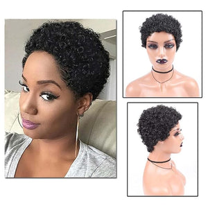 short curly afro wig Women's African fake curly hair Women's fake curly hair Curly Wigs for Black Women Fashion Short Afro Curly Wig