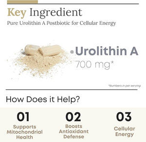 ZAB Urolithin A Supplement 700mg - 90 Urolithin A Capsules for Boost Cellular Energy Support Mitochondrial Health &amp Promote Healthy Aging 45 Serving High Purity Capsules Form Urolithin A Supplem