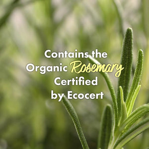 RATED GREEN REAL MARY Energizing Biotin Hair Growth Spray for Thinning Hair and Scalp for Men &amp Women - Rosemary and Ginger Scalp Spray | 4.06 fl oz