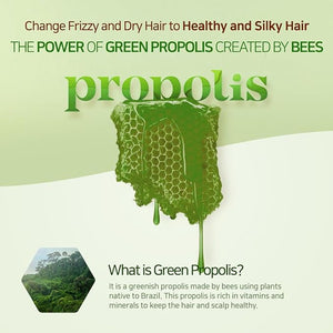 Kerasys Propolis Royal Jelly Extract Green Tea Olive Oil Shiny and Healthy Hair Propolis Green Moisture 33.8 fl oz / 1L (Shampoo 1-Pack)