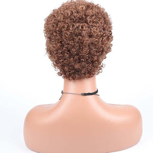 short curly afro wig Women's African fake curly hair Women's fake curly hair Curly Wigs for Black Women Fashion Short Afro Curly Wig