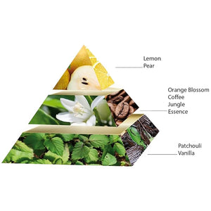 Purple Lady by Pascal Morabito - Perfume for Women - 3.3 oz EDP Spray