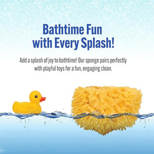 Baby Buddy Baby Bath 4in Assorted Sea Sponges Absorbent Natural Sea Sponge Soft on Tender Skin Biodegradable Hypoallergenic Bath Accessories for Bathing 3 Pack