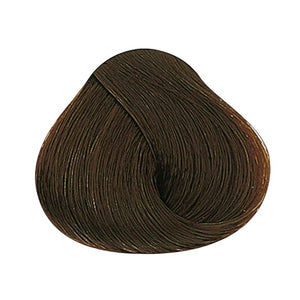 ALFPAF Professional Permanent Hair Color Cream ? Vegan No PPD With Hyaluronic Acid | Long-Lasting Color | Ammonia-Based Salon Formula Vibrant Results ? 2.03 fl oz (6.32 Dark Blonde Violet)