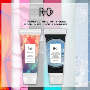 R+Co HIGH DIVE Moisture + Shine Cr?me | Leave-In Hydrating Cream for Smooth Frizz-Free Hair | Adds Softness Shine &amp Manageability | Vegan &amp Color-Safe