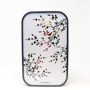 Floraiku Sleeping on the Roof for Everyone Eau de Parfum Spray Set, 1.69 Ounce + 0.33 Ounce | Unisex Fragrance with Verbena, Orange Blossom, Lily of the Valley, Heliotrope, Sandalwood &amp; Musk