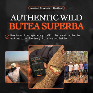 Based Supplements Butea Superba Extract - Traditional Thai Herb for Men's Vitality Focus &amp Energy - Premium Root Powder with Natural Flavonoids