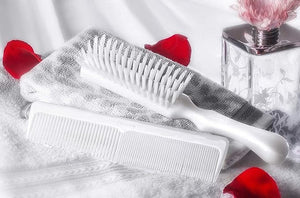Stanley Home Products Essentials Ladies Hairbrush &amp Comb Set ? Durable Nylon Block &amp Bristles ? Designed for All Hair Types