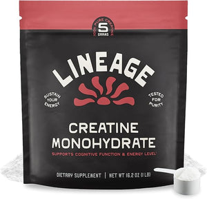 Micronized Creatine Monohydrate with Sea Salt - Micronized Creatine Powder for Training &amp Performance ? No Artificial Ingredients ? 90 Servings