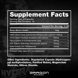 DRAGON PHARMA Hydra Premium Endurance Supplement Increase Recovery and Performance Research Backed Ingredients (120 Capsules)