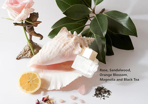 Open Perfume ? Clean, Non-Toxic, Cruelty Free &amp; Vegan Luxury Fragrance with Essential Oils of Rose, Sandalwood, Orange Blossom, Magnolia and Black Tea (0.34 Fl Oz (Pack of 1))