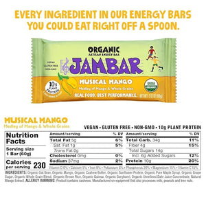 JAMBAR Organic Artisan Energy Bar (Musical Mango - 12 Pack)