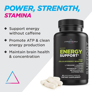 Livingood Daily Energy Support 11-in-1 Supplement with Magnesium Vitamin B6 B12 Amino Acids L Carnitine CoQ10 Ginseng &amp L Theanine Supports Natural Energy for Men &amp Women Vegan 60 Ca