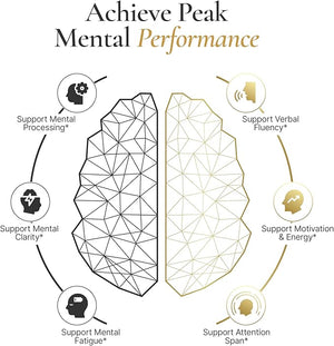 Elite Brain - Nootropic Supplement for Focus Memory &amp Mental Clarity - ALCAR Lions Mane ALA L-Theanine Vitamin B Complex - Natural Energy Caffeine-Free (60 Capsules)