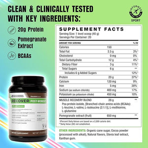 BODi Recover Plant-Based Protein Powder Blend? Post-Workout Chocolate Plant-Based Supplement for Muscle Recovery with 20g Protein BCAAs Pomegranate Extract - Fast Recovery - 20 Serving Tub
