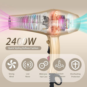 Ionic Hair Dryer,2400W Negative Ion Low Noise Hair Dryer Professional Fast Drying Hair Dryers with 2 Speeds, 3 Heat Settings, Cooling Button,with Diffuser for Curly and Straight Hair£¨Champagne Gold£©