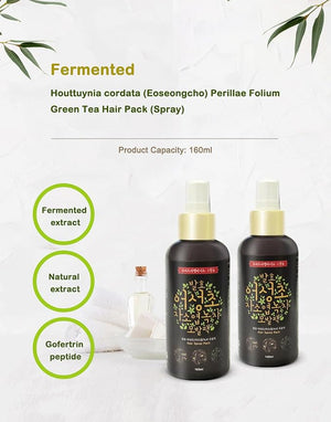 Kapdang Herbal Scalp Treatment with Houttuynia Cordata Green Tea and Perilla Fermented Extract Nourishing Hair Pack 160ml