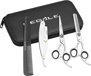 Regale Professional Hair Cutting Shears Set ? 6 &amp 6.5 Stainless Steel Scissors Thinning Shears Straight Razor Hair Cutting Kit with Case for Barbers Salon Grade Barber Shears Set