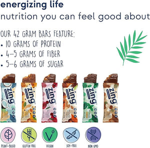 Zing Vegan Protein Bars Variety Pack - Top 6 Flavors Gluten Free Nutrition Bars High Protein &amp Fiber Soy Free Dairy Free Plant Based Protein Kosher Low Sugar No Sugar Alcohols - 12 count