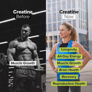 Complement Creatine Monohydrate Micronized Powder for Women and Men (5g 60 Servings) Pre Workout Post Workout Muscle Recovery Brain Health Longevity- Vegan Unflavored