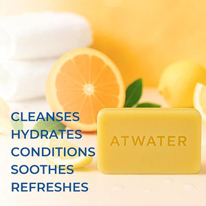 ATWATER Alpine Expedition Holiday 2025 Gift Set ? 3 Clean Impact Hydrating Body Bars for Men Limited-Edition Moisturizing Soap Set for Face &amp Body Glycerin &amp Shea Butter Clean Skincare Gift