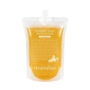 STEAMBASE Turmeric Scalp Water Scaler | Scalp Exfoliator for Itchy Dry Scalp Thinning Hair Buildup Remover Treatment for Excess Sebum Oily Greasy Hair | Korean Hair Care Products 16.9 fl oz